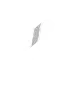 SA FM